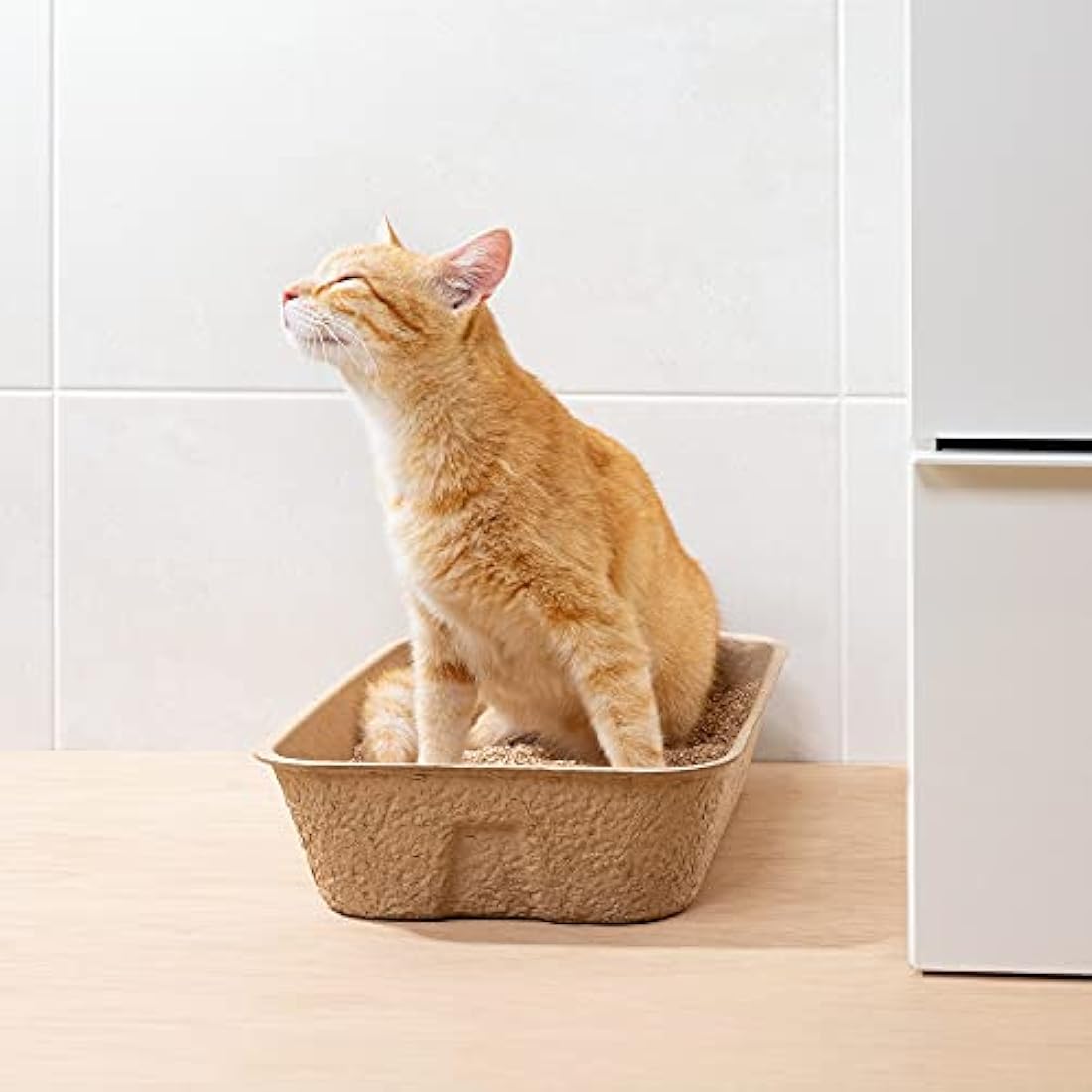 Navaris Disposable Cat Litter Trays (Pack of 10) - Cardboard Liner Tray for Cats Made of 100% Paper - Use Alone or As Box Liners - 40.5cm x 30cm