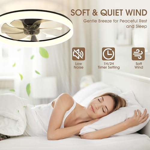 NIORSUN 60cm Ceiling Fans with Lights and Remote, 6 Speeds Modern Smart LED Ceiling Fan Light, 3000K-6500K Dimmable Quiet Fan Lights Ceiling for Bedroom Living Room Dining Room (Black)