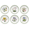 Portmeirion Home & Gifts BG05082 Botanic Garden Side Plates 16.5cm - Set of 6, White