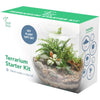 Root box CLEARANCE Large Plant Terrarium Kit in scented giftbox | Succulents, Bonsai, Fittonia, Cactus | Unique DIY GIFT for Summer Anniversaries Birthdays Employees