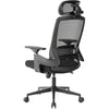 Realm of Thrones VALOUR Ergonomic Office Chair for Home, Gaming Desk Chair, 3D Headrest/High Back Mesh/Comfort Cushion Seat/3D Rotating Armrests/Adjustable Lumbar Support/Heavy Duty Steel Base (Black)