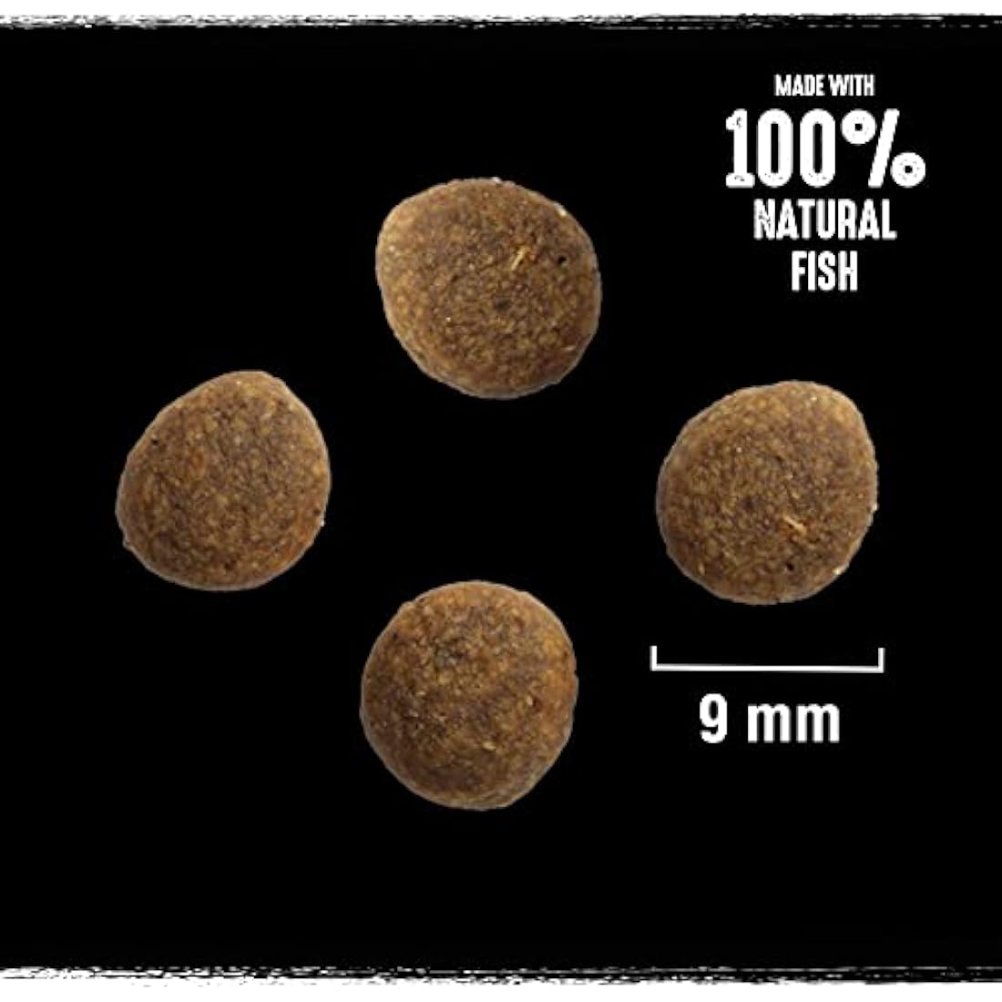 Crave Dry Cat Food - High Protein and Grain-Free Cat Food with Salmon and WhiteFish, 7 kg (Pack of 1)