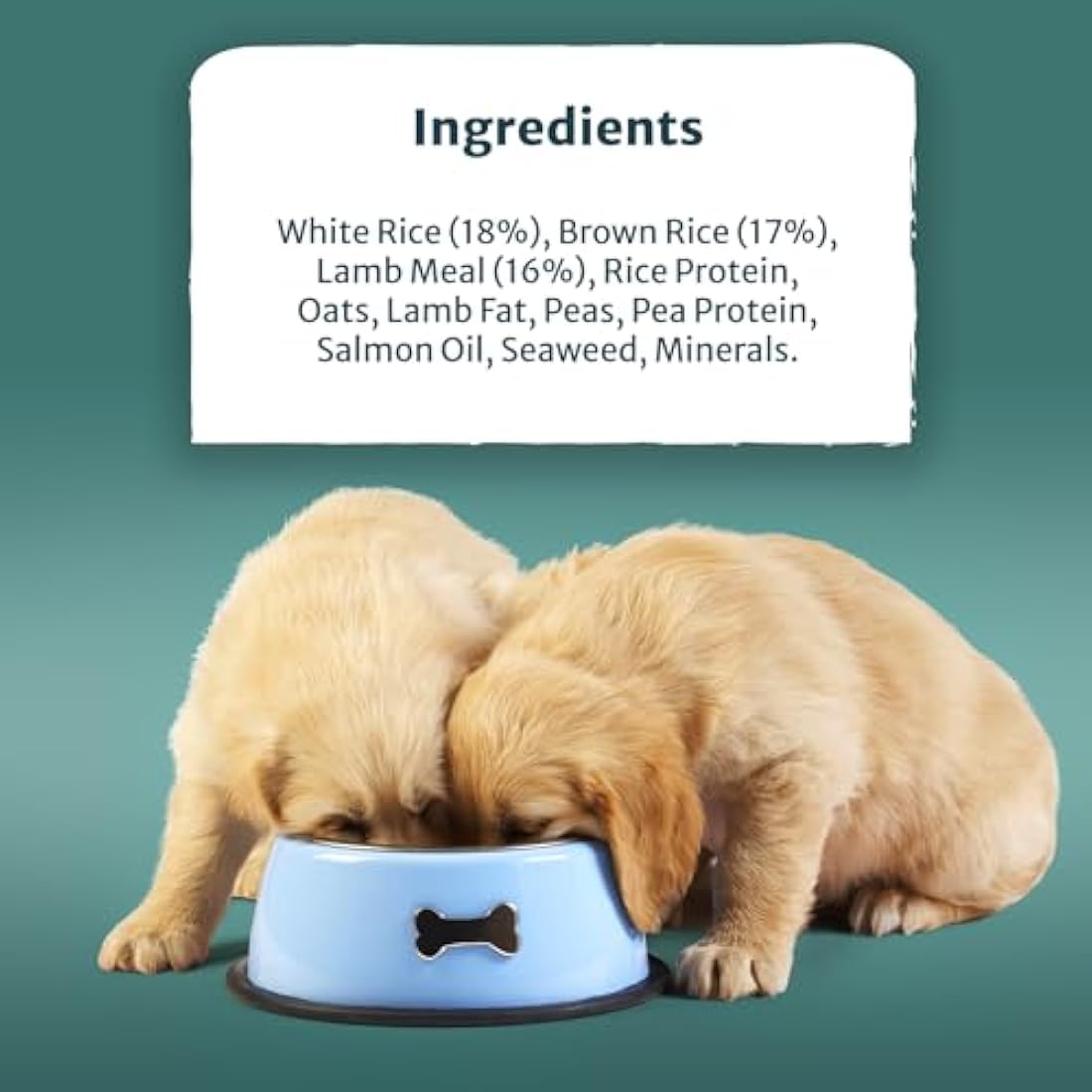 Burns Pet Nutrition Hypoallergenic Complete Dry Dog Food Puppy Original Lamb and Rice 2 kg