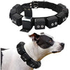 Walktime Tactical Weighted Dog Collar - Weights for Training & Exercise - Small, Medium, Large Dogs