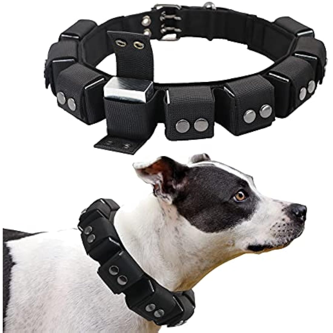 Walktime Tactical Weighted Dog Collar - Weights for Training & Exercise - Small, Medium, Large Dogs