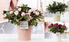 Rhodo Si Gemengd Keramiek Juliette