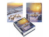 Tom Smith Luxury Boxed Assortments Sunset Sheep 20 Pack  