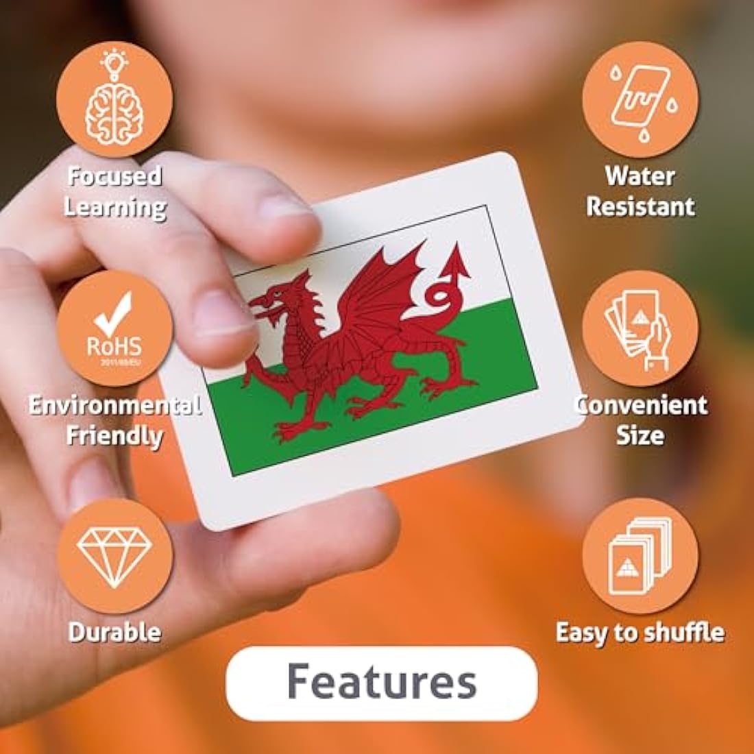 Collection of Country Flags Educational Flashcards (Premium full set)