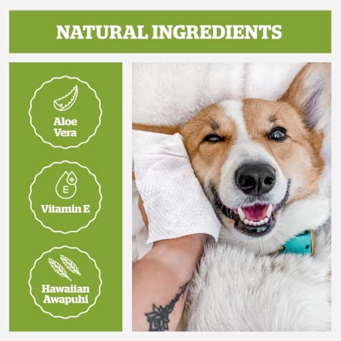 Pogi’s Dog Wipes Travel Pack – Plant-Based, Hypoallergenic Wipes for Dogs and Puppies – Fragrance Free, 120-Count