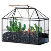 NCYP Geometric Glass Terrarium - 25x13.5x20 cm House Shape Terrarium Planter for Succulents, Cacti - Modern Home Indoor Tabletop Decor, Centerpiece,