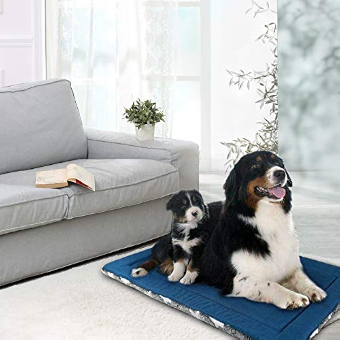 KROSER Dog Bed Mat Reversible Cool & Warm 122x76cm Dog Crate Mat Machine Washable Dog Bed Matterss High Density Foam, Dog Pad Pet Beds for Extra Large Dogs, Grey Blue