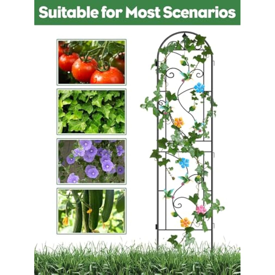 2.2 M Garden Trellis for Climbing Plants, Kalolary 4 Pack Colorful Hummingbird Garden Climbing Trellises Frame Rustproof Metal Potted Plant Climbing Support for Backyard Outdoor Flower Vegetable Vines