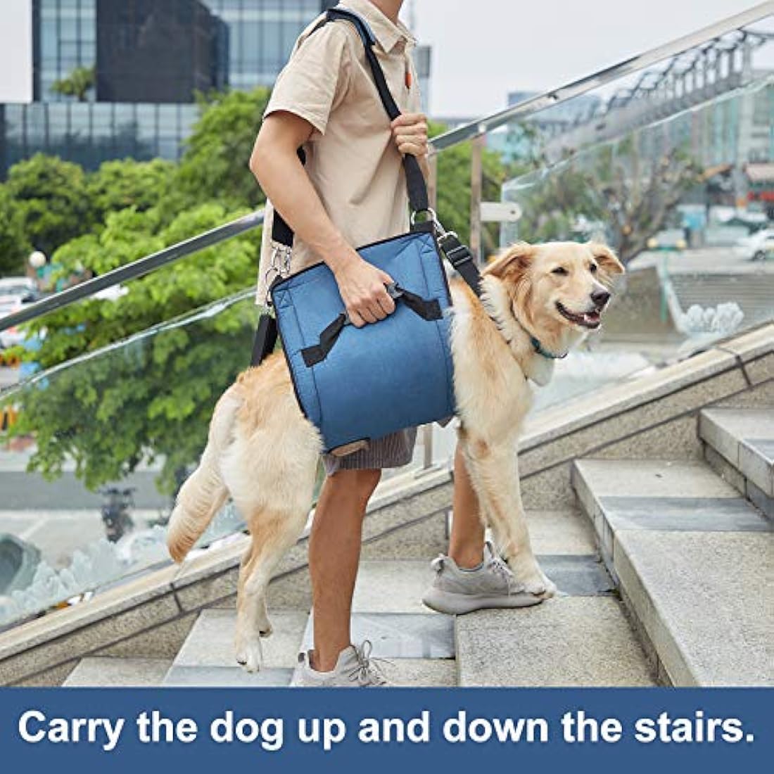 COODEO Dog Carry Sling, Emergency Backpack Pet Legs Support & Rehabilitation Dog Lift Harness for Nail Trimming, Dog Carrier for Senior Dogs Joint Injuries, Arthritis, Up and Down Stairs (XL, Blue)