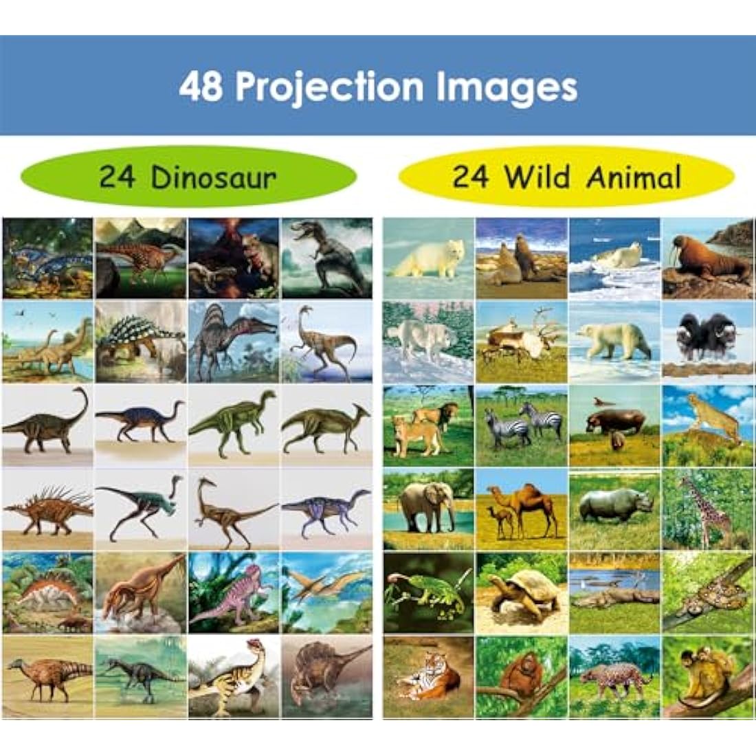 Pup Go Torch and Projector Toy for Kids Ages 3 4 5 6 7 8, 2 in 1 Dinosaur & Animal, 6 Discs and 48 Images, Educational Learning Toys Bedtime Night Light For Boys Girls Children(Dino+Animal)