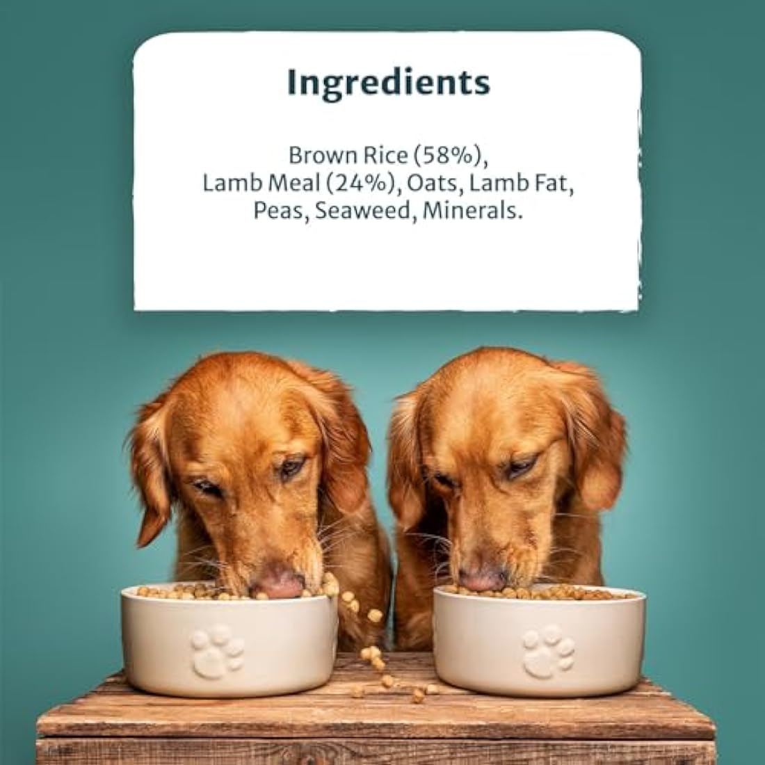 Burns Pet Nutrition Hypoallergenic Complete Dry Dog Food Adult and Senior Dog Original Lamb and Brown Rice 12 kg