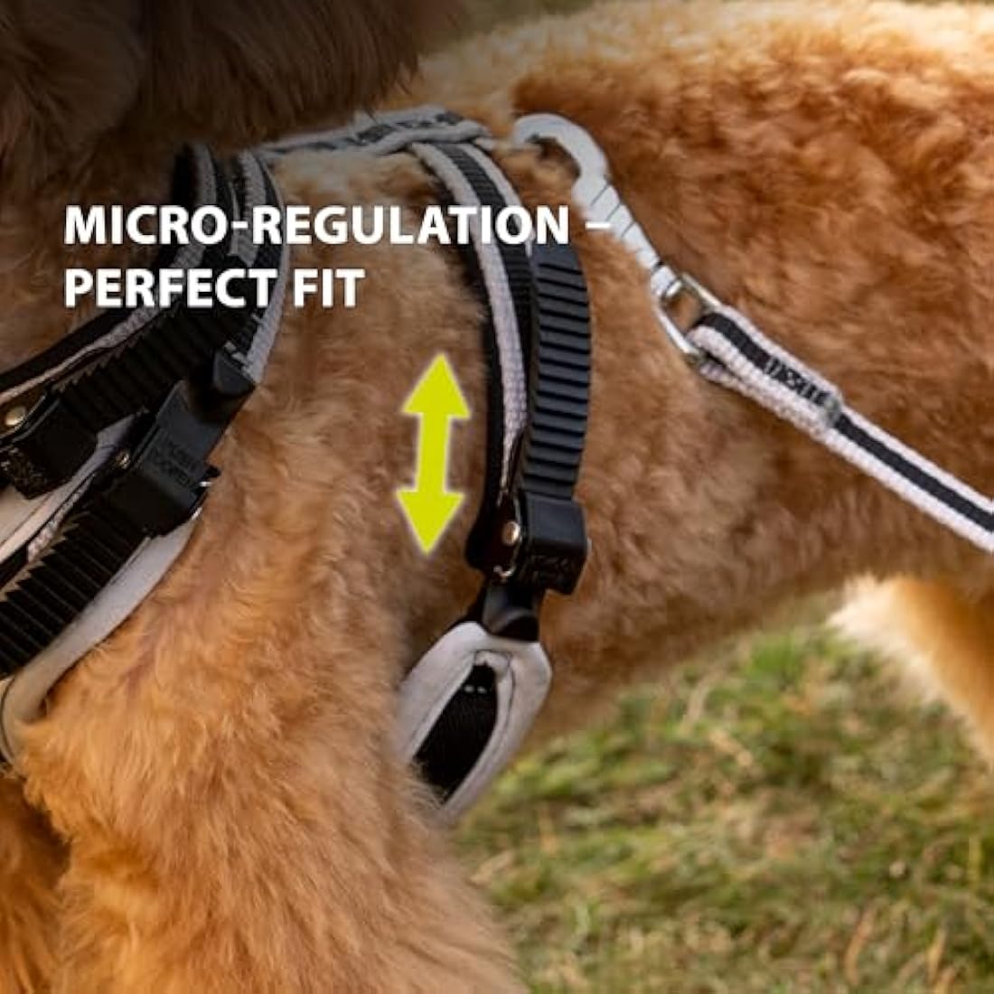 Ferplast Small Size Dog Harness ERGOCOMFORT SMALL, Adjustable Dog Harness, Comfortable, Padded, Double Micro-adjustment Closure, Quick Release, Silver