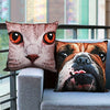 Bigbuy Cats And Dogs Cushion 500 gr