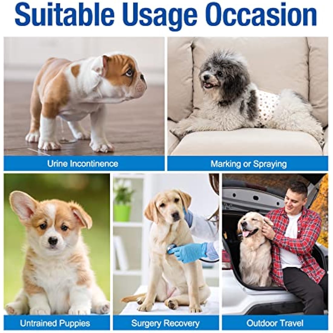 Pet Soft Dog Nappies Male- 50 Counts Disposable Male Dog Wraps, Super Absorbent Puppy Dog Diapers Incontinence Nappy Wraps with Wetness Indicator (M-50 Count)