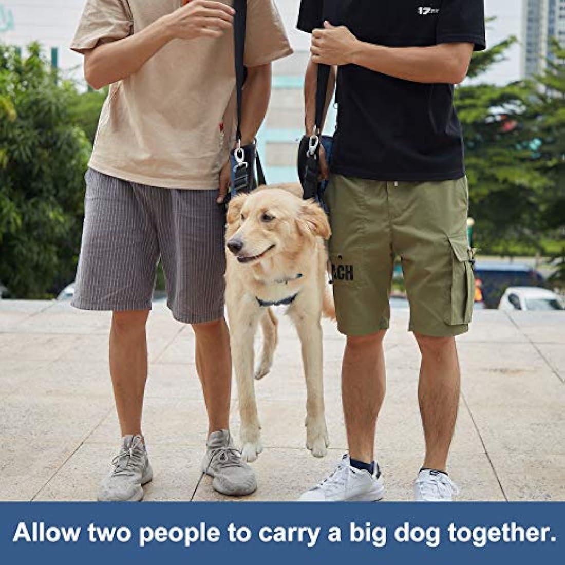 COODEO Dog Carry Sling, Emergency Backpack Pet Legs Support & Rehabilitation Dog Lift Harness for Nail Trimming, Dog Carrier for Senior Dogs Joint Injuries, Arthritis, Up and Down Stairs (XL, Blue)