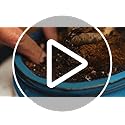 Grow Buddha Bonsai Soil compost food fertiliser medium Bonsai soil compost