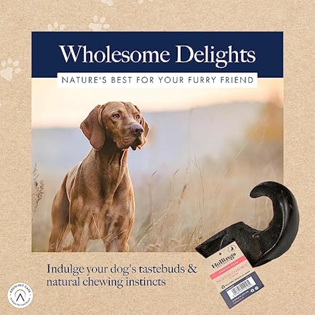 Hollings Buffalo Horn Standard Dog Treat, 100% Natural Grain Free Chew Treat for Adult Dogs, High in Protein and Naturally Low in Fat (12 Pack)