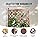 VEVOR 2PCS Raised Garden Bed with Trellis, 60"x13"x61.4" Outdoor Raised Wood Planters with Drainage Holes, Free-Standing Trellis Planter Box for Vine Climbing Plants Flowers in Garden, Patio, Balcony