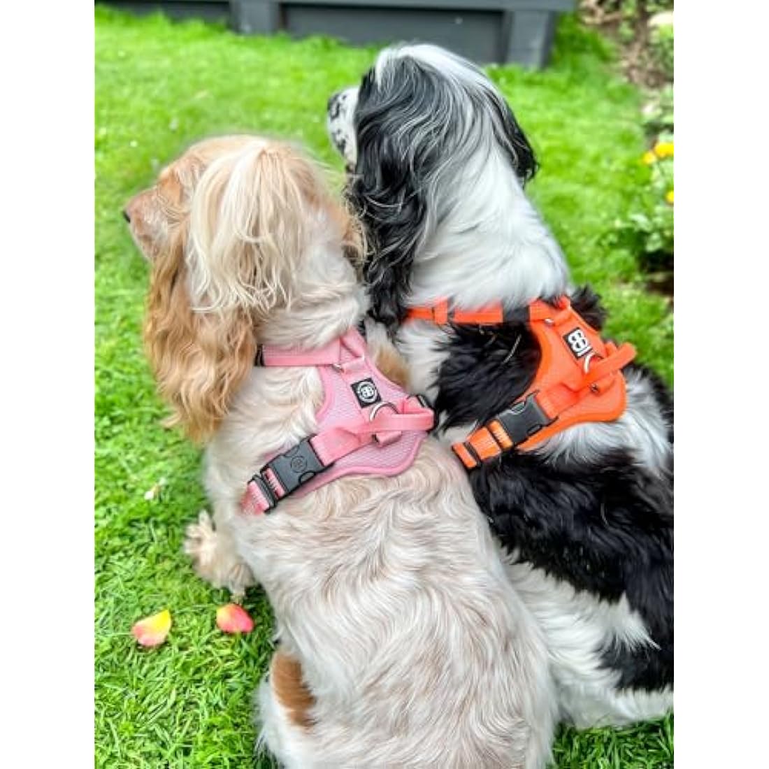 BullyBillows Active Light Dog Harness With Handle - Premium Harness With Padded Lining & Highly Reflective Design - Suitable For All Dog Breeds - Grey XSmall