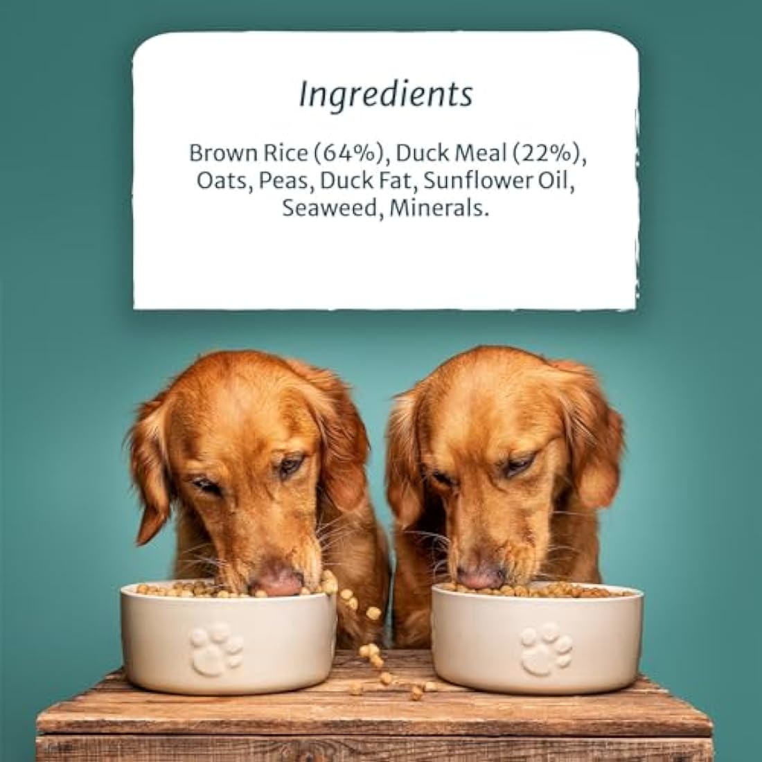 Burns Pet Nutrition Hypoallergenic Complete Dry Dog Food Adult and Senior Dog Sensitive with Duck and Brown Rice 12 kg