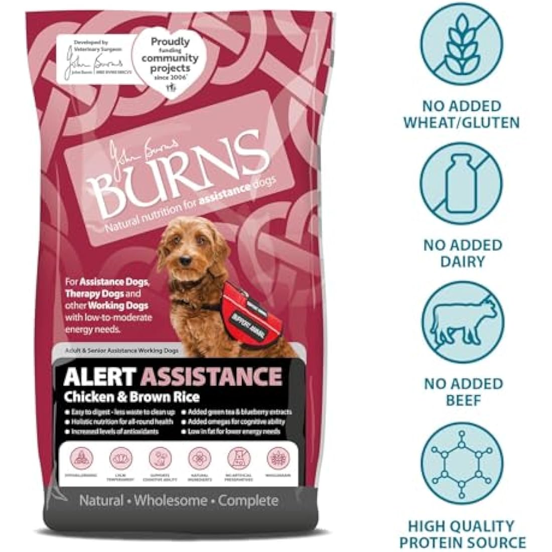 Burns Pet Nutrition Hypoallergenic Complete Dry Dog Food Adult and Senior Dog Alert Chicken and Brown Rice 2 kg