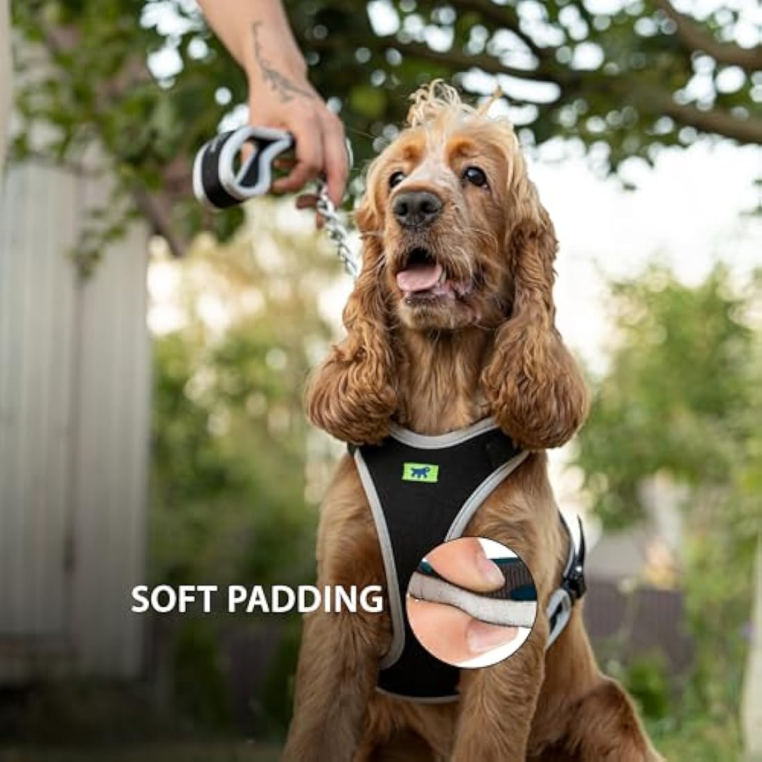 Ferplast Small Size Dog Harness ERGOCOMFORT SMALL, Adjustable Dog Harness, Comfortable, Padded, Double Micro-adjustment Closure, Quick Release, Silver