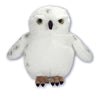 Large Fluffy Snowy Owl