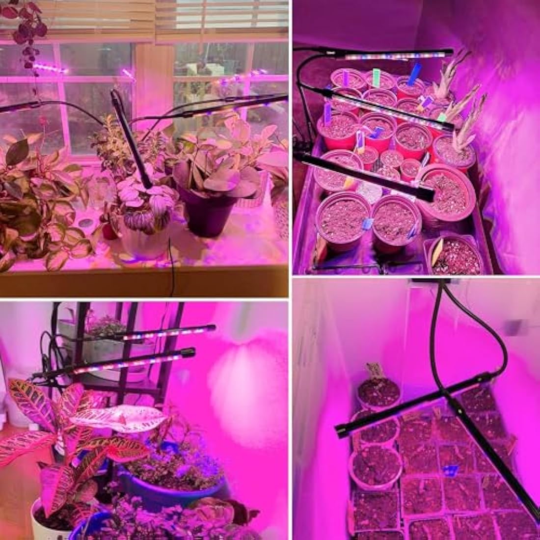 Garpsen Led Grow Lights Full Spectrum, 2 Pack 2 Heads Grow Lights for Indoor Plants, 80 LEDs Clip Plant Light for Seedings, with Auto ON/Off 6/12/16H Timer, 5 Dimmable Levels (460nm/660nm/3000K)