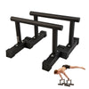 RAMASS Fitness Parallettes, for Gymnastics, Calisthenics, Bodyweight for home gym and commercial use