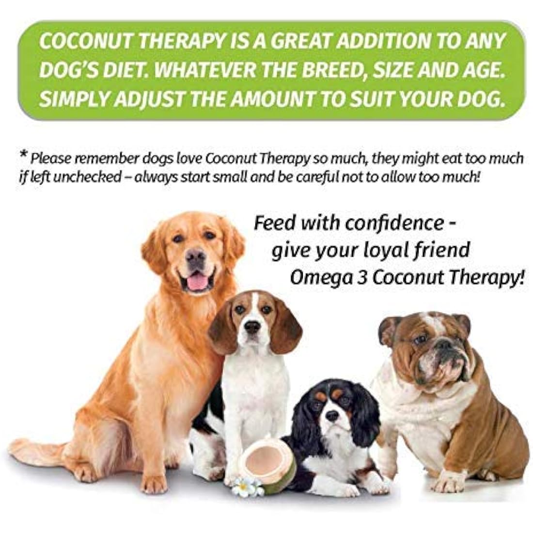 TIANA Coconut Therapy, Coconut Oil for dogs, Omega-3 Supplements for dogs, 500ml (Pack of 6)