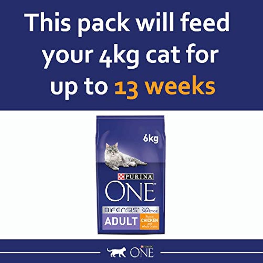 PURINA ONE Chicken Dry Cat Food 6kg
