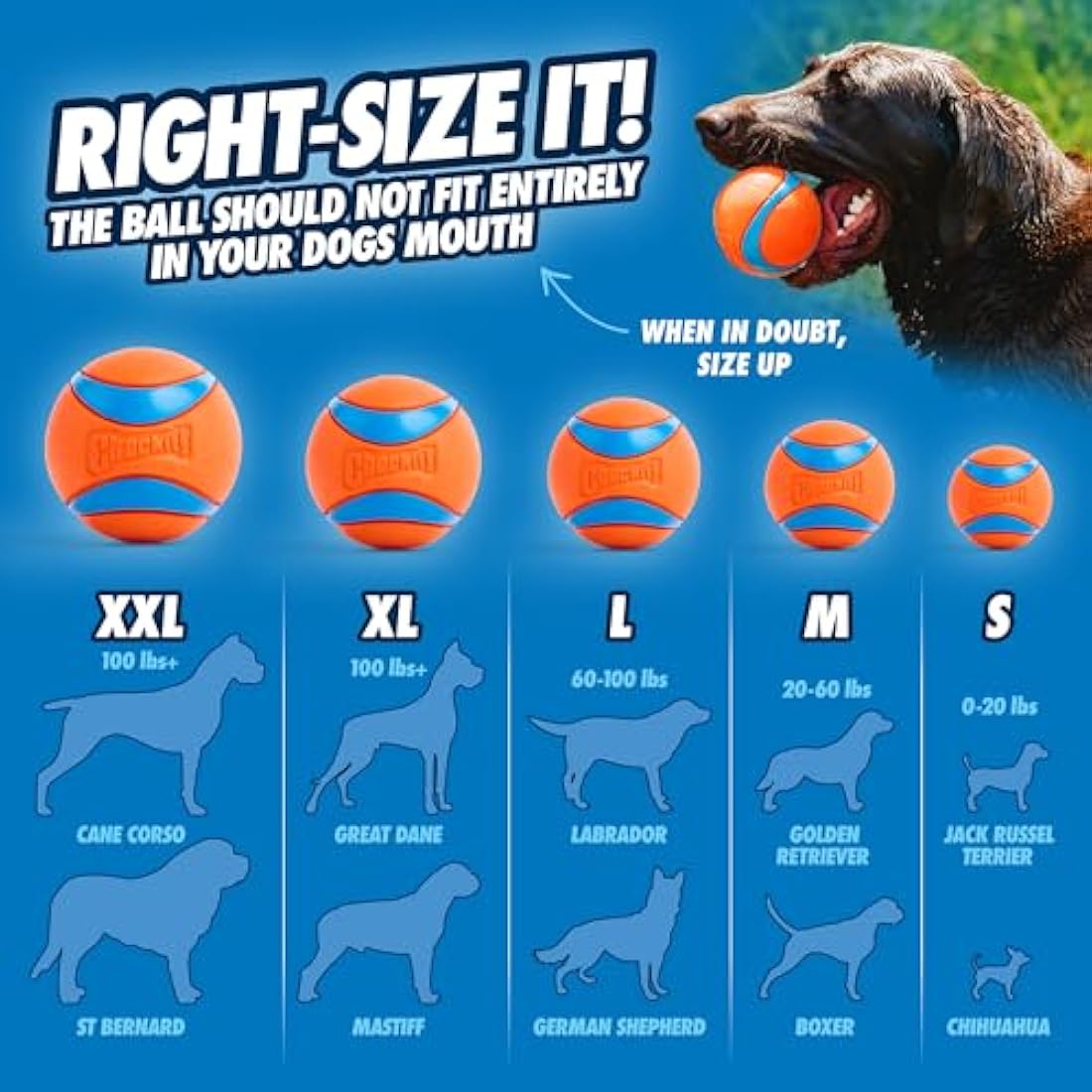 ChuckIt! Ultra Ball Dog Toy, Durable High Bounce Floating Rubber Dog Ball, Launcher Compatible Toy For Dogs, 2 Pack, Medium
