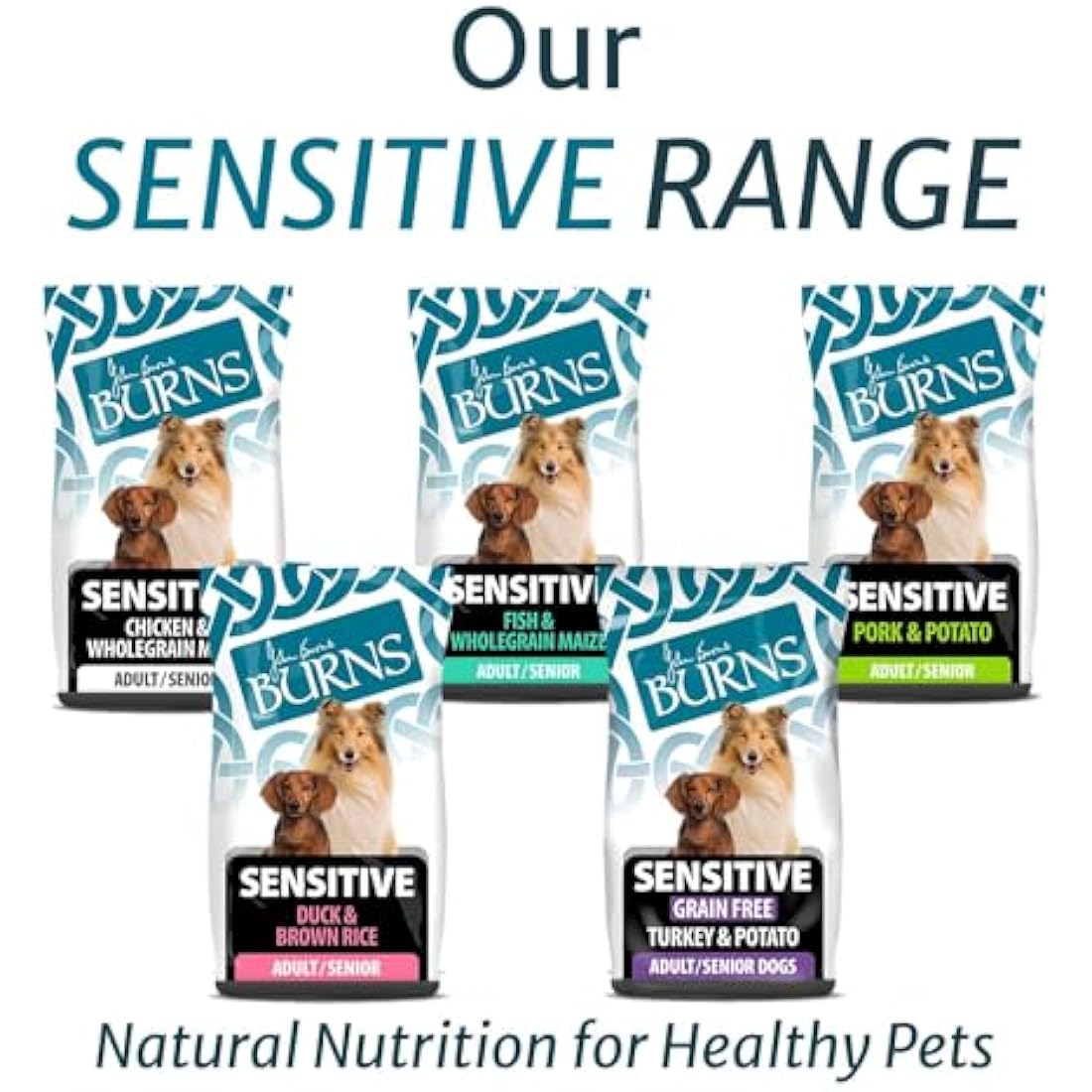 Burns Pet Nutrition Hypoallergenic Complete Dry Dog Food Adult and Senior Dog Sensitive with Pork and Potato 12 kg