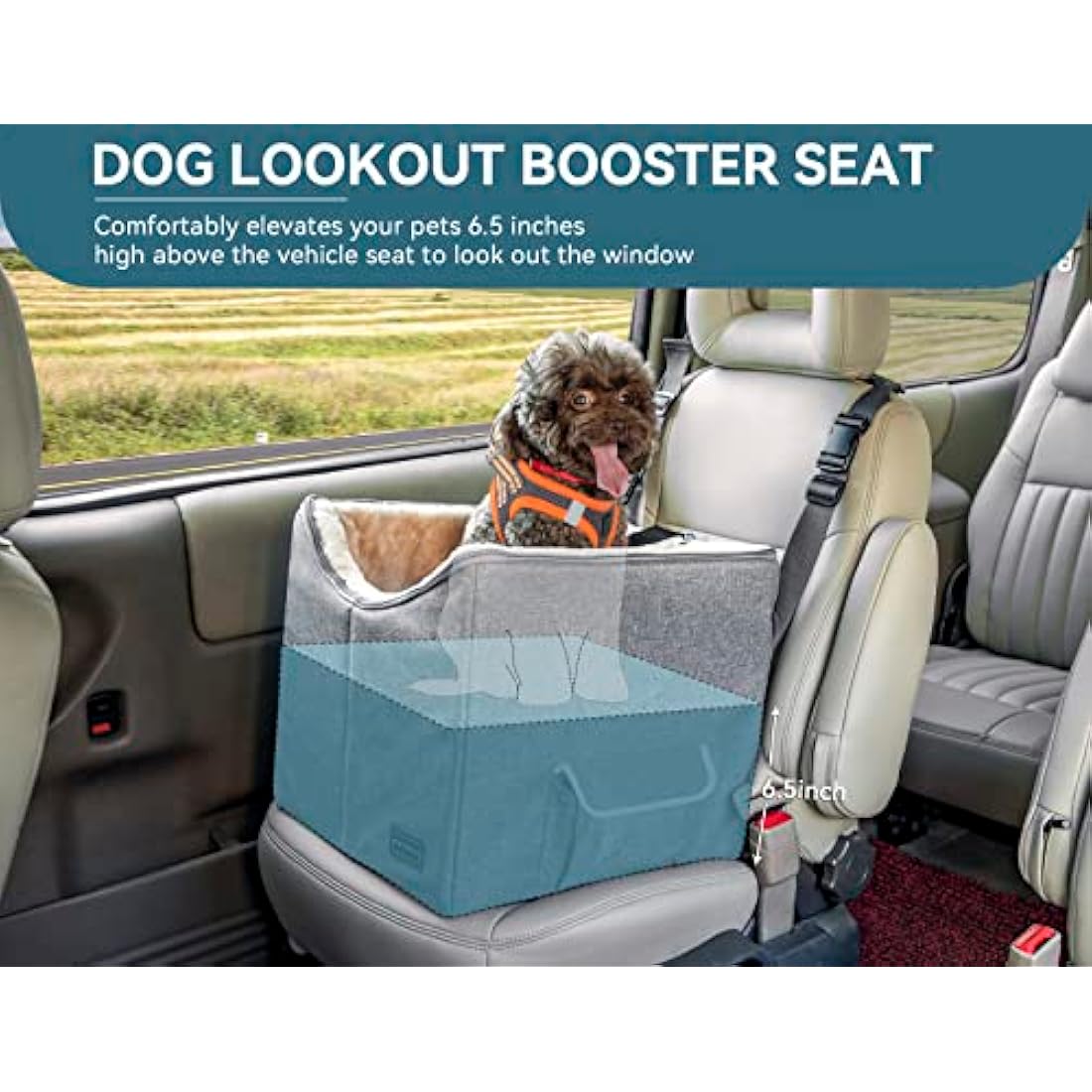 Petsfit Small Dog Booster Car Seat with Safety Belt, Pet Travel Car Seat, Washable Double-Sided Cushion and Storage Pocket for Small Pet Up to 10 KG