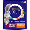 PURINA ONE Urinary Health Chicken Dry Cat Food 750g (Pack of 4)