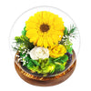 Touloube Mothers Day Chrysanthemum Flowers Gifts for Women, Real Stabilized Sunflower Glass Dome, Eternal Sunflower with LED Lights&Gift Box, Advanced