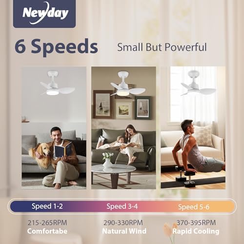 Newday 24inch Small White Ceiling Fan with Light and Remote Control, Diammable LED Lights, 3 Blades, Quiet DC Motor 6 Speeds Memory Function for Bedroom Living Room