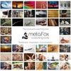 metaFox 'Building Resilience' - 52 Therapy Cards for Fostering Resilience, Acceptance, Coping Skills, and Empowerment - Use as Therapy Tools, Mindfulness Cards and Motivational Cards
