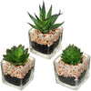 Briful Artificial Succulents Fake Succulent Plants Potted in Mini Square Clear Glass Pots Set of 3 Faux Succulents Small Artificial Succulent Plants Great for Office Home Decor