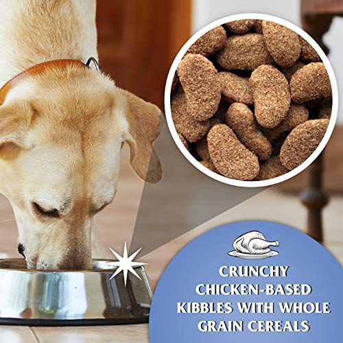 Dr John Silver Dry Dog Food 15kg - Chicken with Vegetables - Complete Dog Biscuits 15kg - Senior and Adult Dog Food for Light Activity, Maintenance and Resting Dogs