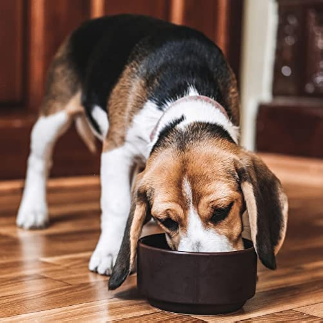 Arden Grange Adult Dry Dog Food with Fresh Lamb and Rice, 6 kg