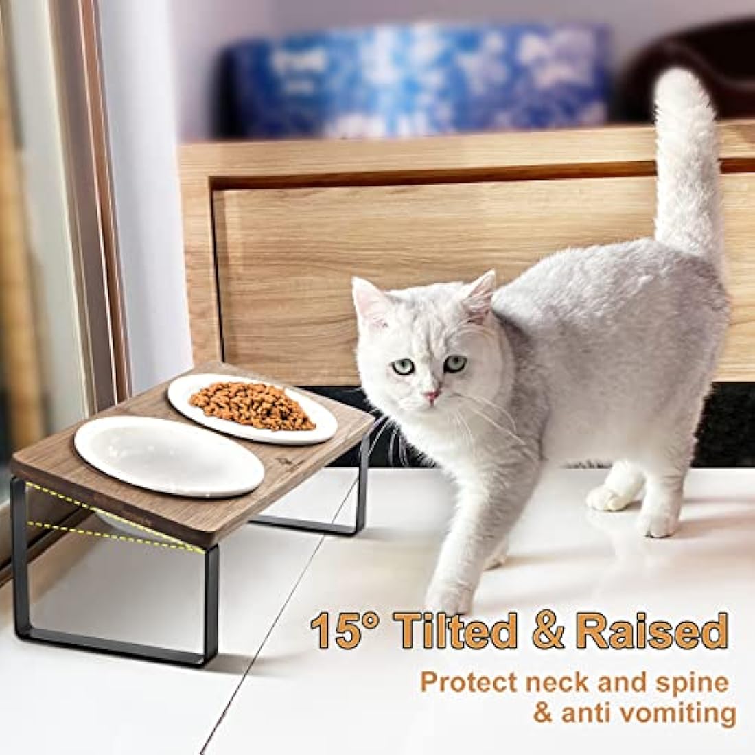 GUUSII HOME Raised Cat Food Bowl Elevated Kitty Dish 2 Ceramic Bowls Dia 14cm Bamboo Stand 15°Tilted Anti Vomiting Indoor Cats Double Dishes Feeding Station Kitten Puppy Easy to Assemble & Clean