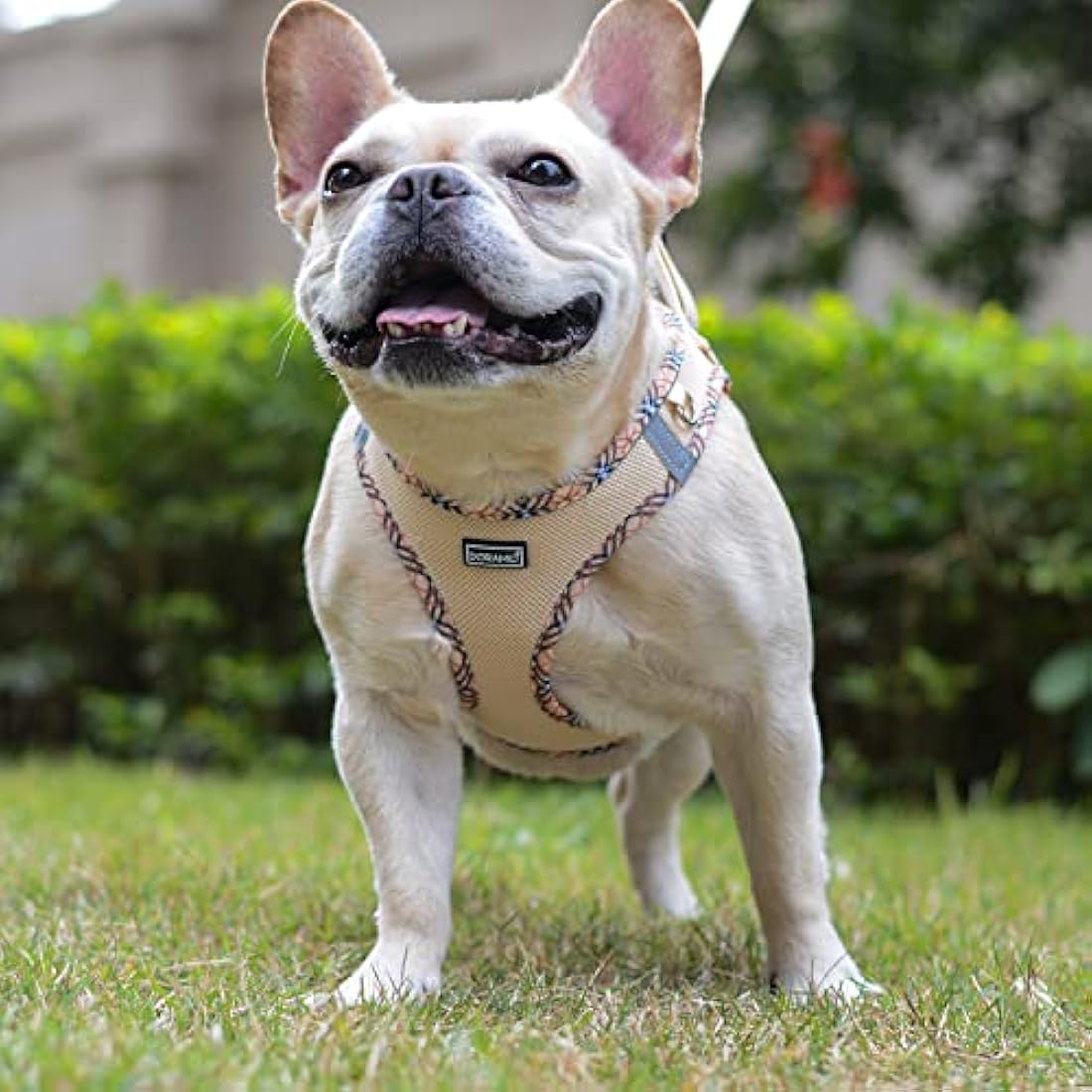 DORAMIO Step-in Dog Harness and Leash Set, Soft Mesh No-Chock Reflective Breathable Easy Walk Lightweight Vest Harnesses with Safety Buckle for Small Dogs, Cats, Puppies (Beige, XL)