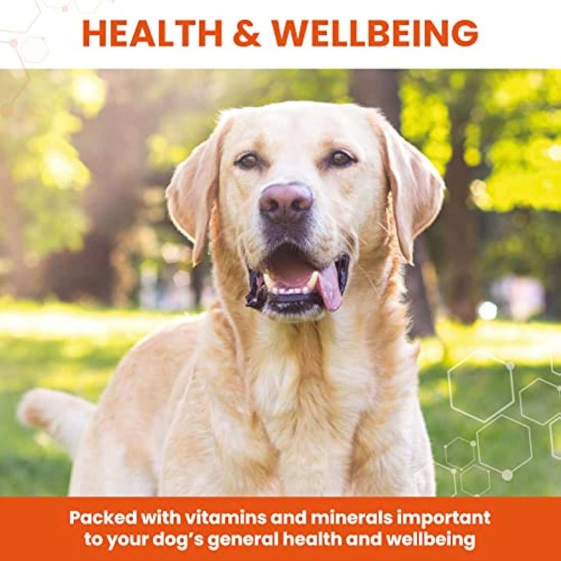 Vetzyme Conditioning Tablets for Dogs (3000 Tablets) - With B Complex Vitamins to Promote Fitness and Support a Healthy Immune System