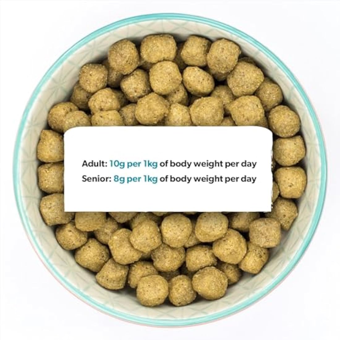 Burns Pet Nutrition Hypoallergenic Complete Dry Dog Food Adult and Senior Dog Sensitive with Fish 6 kg