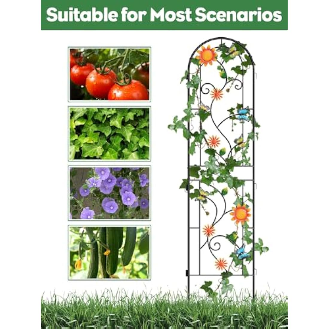 2.2 M Garden Trellis for Climbing Plants, Kalolary 4 Pack Colorful Butterfly Garden Climbing Trellises Frame Rustproof Metal Potted Plant Climbing Support for Backyard Outdoor Flower Vegetable Vines